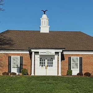 Team Page: Team Shelby